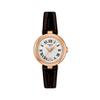 Tissot Women's Bellissima Watch, White Dial, Leather Strap, T1260103601300, Officially Imported