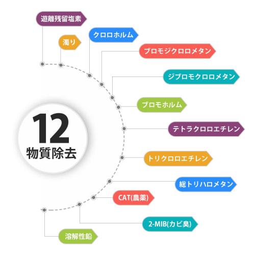 VOICES BUC12001 Water Purification Cartridge, 12-Substance Removal Type, Replacement Cartridge for UZC2000 Built-in Water Purifier, Mitsubishi Rayon (