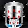 Zhi Shi 3-Layer Electric Steamer with Timer