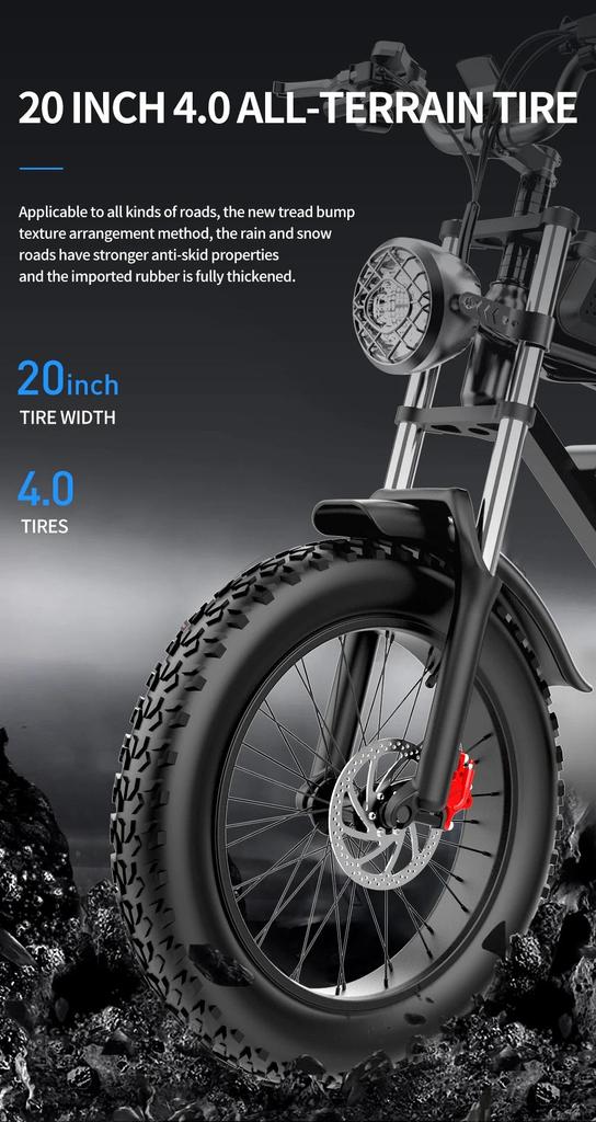 Ridstar Q20 Electric Bike 1000W Powerful Motor 48V20AH Oil Brake 20*4.0inch Fat Tire Ebike Mountain Snow Electric Bicycle