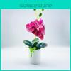 With Phalaenopsi Lightweight Material For Room Decor Durable Plastic Pvc