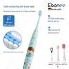 Aiboni C1s Rechargeable Sonic Electric Toothbrush