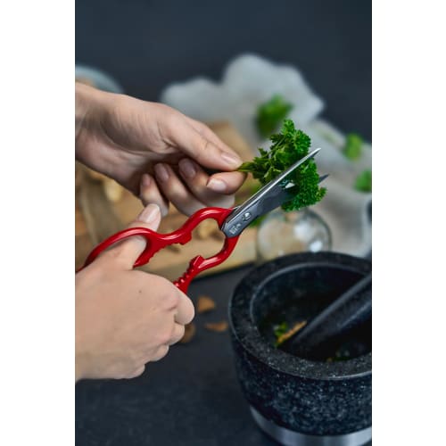 Zwilling "Classic Satin Kitchen Scissors" Stainless Steel Kitchen Scissors, Made in Germany [Official Japanese Product] 43923-200