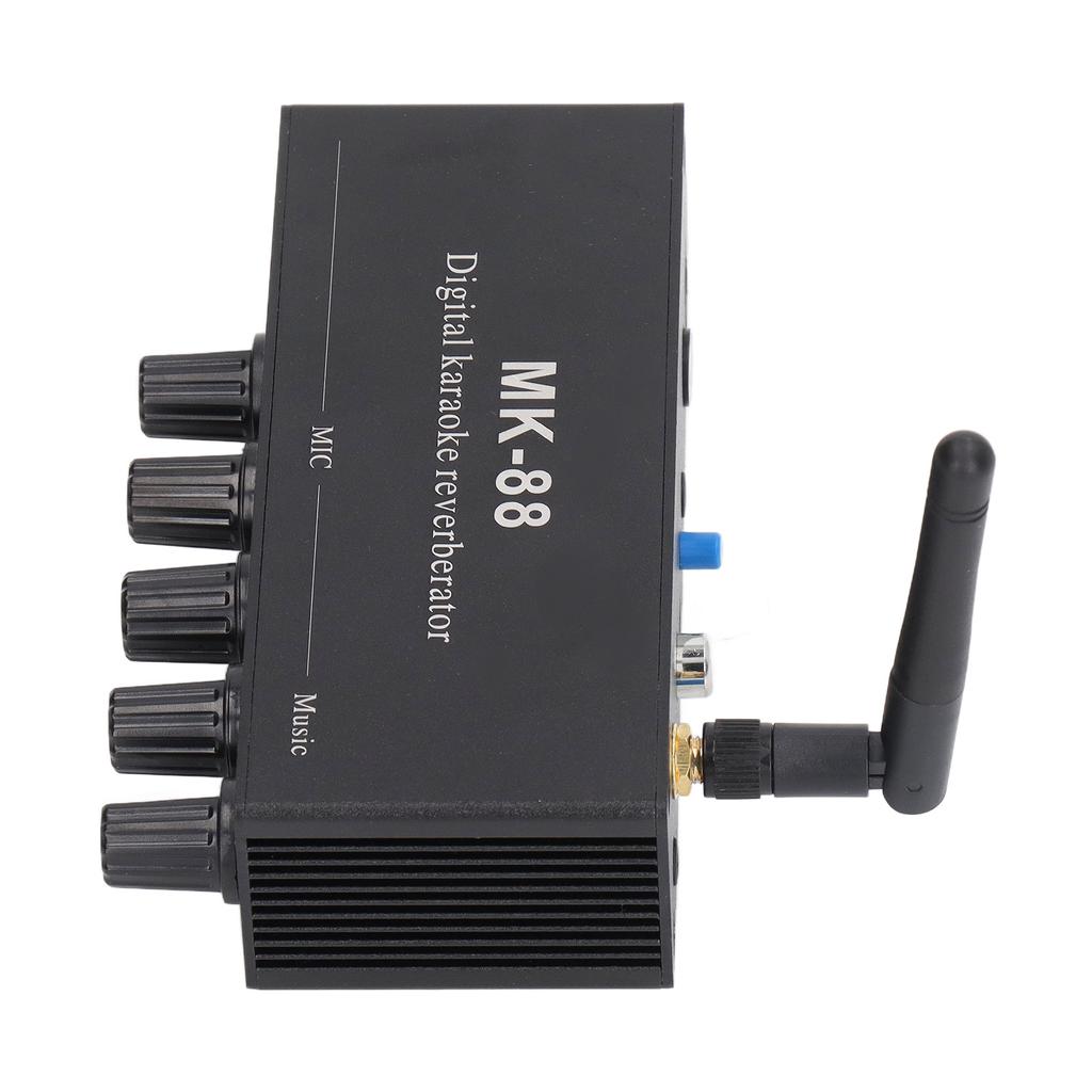 Digitaler Hallgerät Stereo-Verstärker Bluetooth 5.0 Dualer Mikrofoneingang DC 12V