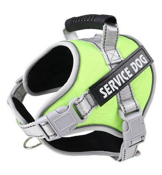 Reflektierende Atmungsaktive Hundeleine & Geschirr - Explosionsgeschütztes Design