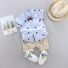 Trendy Summer Two-Piece Infant Boys' Short-Sleeve Outfit