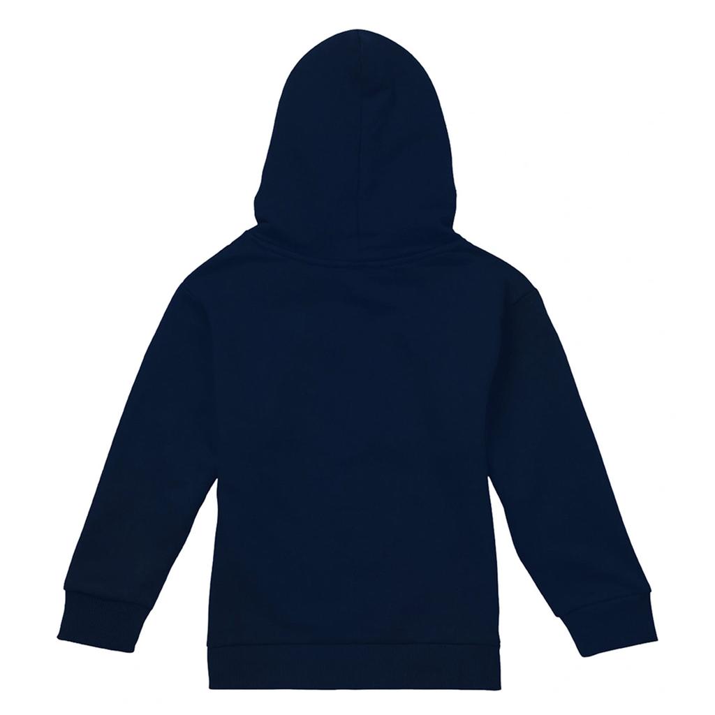 Pink Floyd Childrens/Kids Triangle Frames Pull Over Hoodie