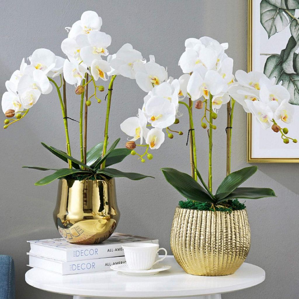 FagusHome 8 PCS Artificial Phalaenopsis Orchids Leaves 11 inches Green Faux Orchids Leaf (8 Pcs)