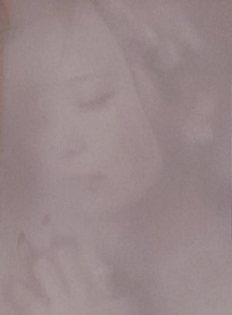 [USED] Reona Spira Cape Day Postcard with Bonus, Complete Set, Animate, Summer