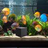 Aquarium Water Purifier Cube Structure Activated Charcoal Block Carbon Filter Cube Fish Tank Accessories