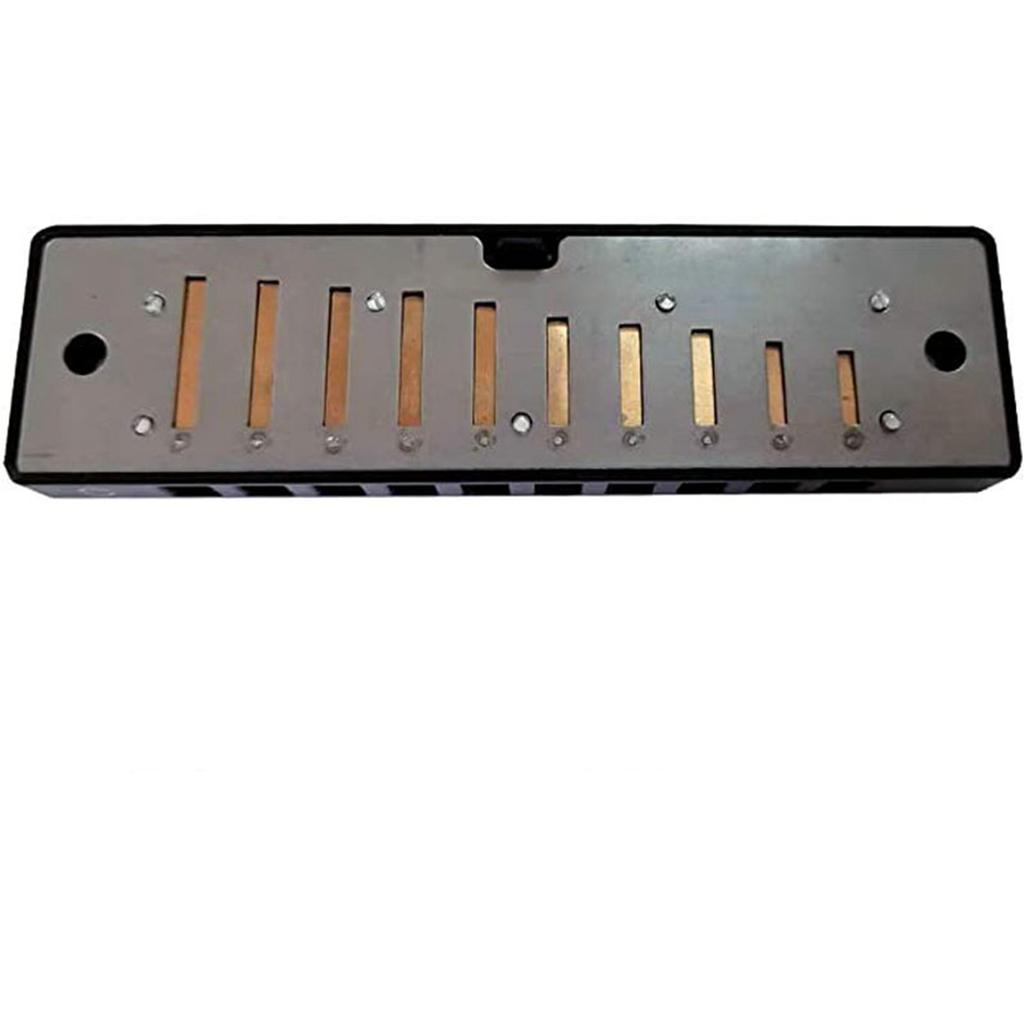 10 Holes C Key Harmonica for Beginners Students Portable Mouth Organ Small Wind Instrument