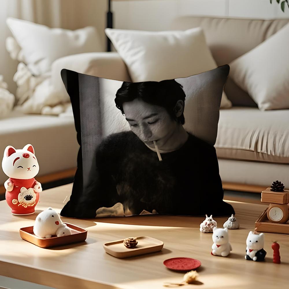 

Lee SooHyuk Cushion Cover Anti-dustmite Pillowcase Invisible Zipper Silky Short Plush Sofa Cushion Cover 30cmx30cm