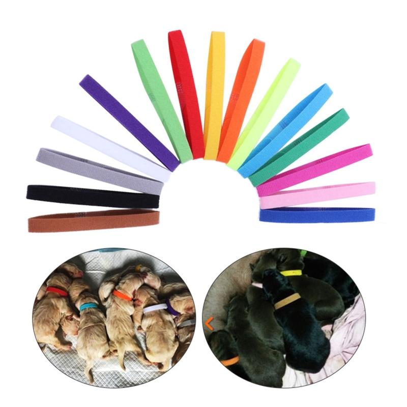 15 Colori Collari per Cuccioli da Parto Collari Identificativi Regolabili per Animali Domestici Fasce Morbide per Cani Neonato per Gatto Gattino 3 Misure