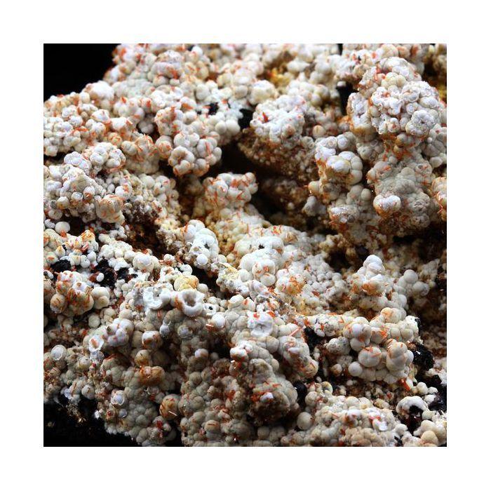 Pierres et Minéraux. Dundasite, Crocoite. 386.5 ct. Kapi Mine, North Dundas, Tasmania, Australie.