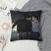 Revenged Love Chi Cheng Tian Xuning Ziyu Printed Pillowcase Cushion Cover Pillow Covers Bedroom Decor Zippered Multiple Sizes