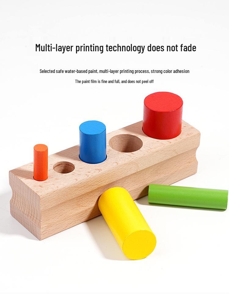 Montessori Wooden Colored Cylinder Blocks: Early Education Teaching Aids for Children