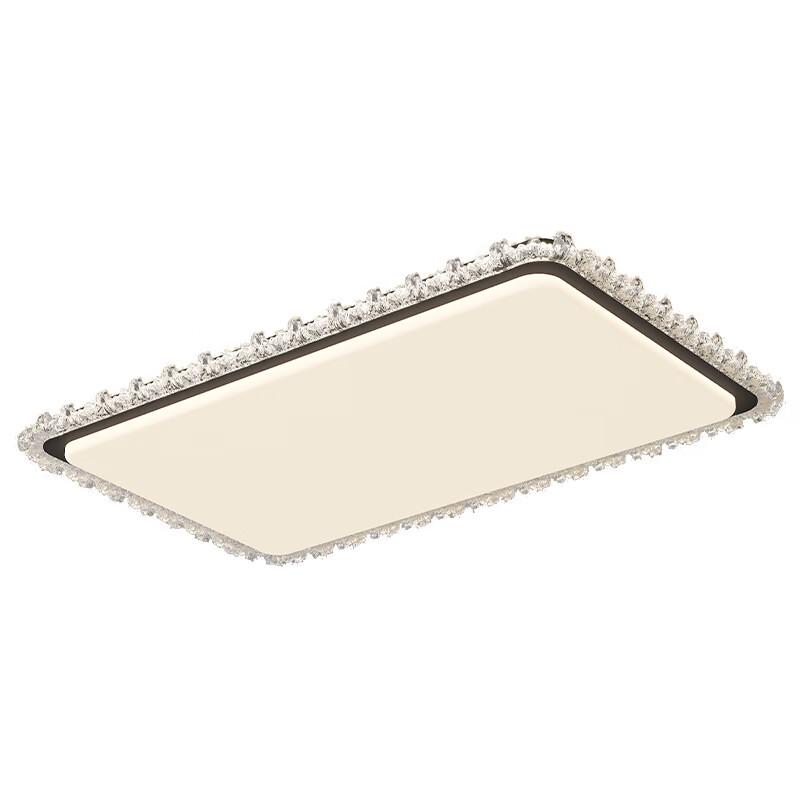 Oeny Italian Light Luxury LED Ceiling Light