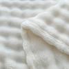 White Luxury Imitation Fur Plush Blanket Warm Super Soft Blankets Bed Sofa Cover Fluffy Throw Blanket for Bedroom Couch Travel