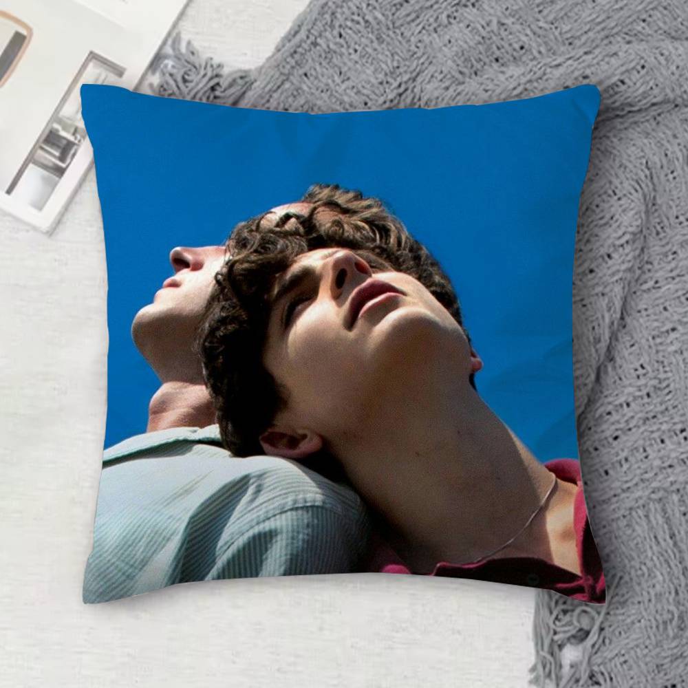 TTimothee Chalamet Doublesided Printed Square Decorative Cushion Cover for Sofa Living Room Home Decor