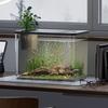 Small Fish Tank with Lid Betta Aquarium Tank Creative Hydroponic Fish Bowls  For Home Decorative