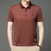 Machine Washable Men'S Ice Silk Seamless Short-Sleeved T-Shirt Business Casual Lapel Striped Polo Shirt