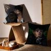 LinYi Chinese Actor Cushion Cover Anti-dustmite Pillowcase Invisible Zipper Silky Short Plush Sofa Cushion Cover
