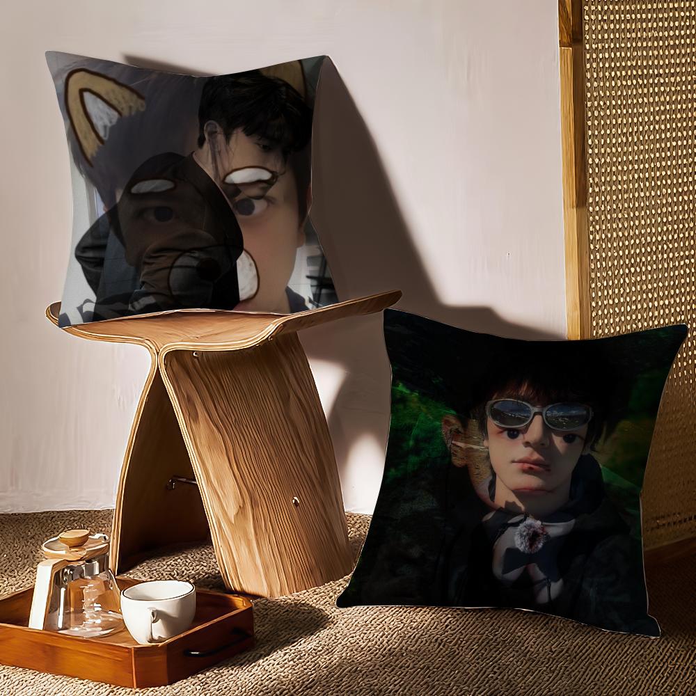 LinYi Chinese Actor Cushion Cover Anti-dustmite Pillowcase Invisible Zipper Silky Short Plush Sofa Cushion Cover