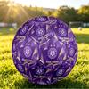 Personalized Size 5 Football Austria Wien FC Pattern Outdoor Game Sports Ball Gift