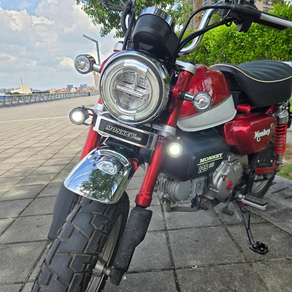 LED Fog Lamp for Honda Monkey 125 (White)