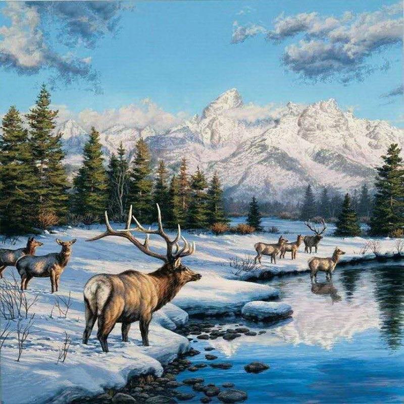 YEESAM ART Pittura A Numeri Per Adulti E Bambini – Faro E Montagna, Tela 40x50 Cm, Con Pennelli E Lente D'Ingrandimento, Con O Senza Cornice