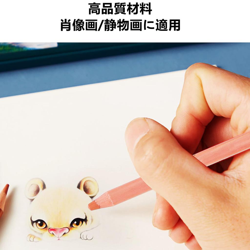 12 Zerodis Pastel Professional Color Charcoal Pencils Portrait Pastel Pencils for Layering and Pencils, Sketching, Shading, Coloring, Blending.
