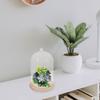 Tischdeko Trockenblumen Glasglocke Vase Klar Ornamente Holz Konserviert