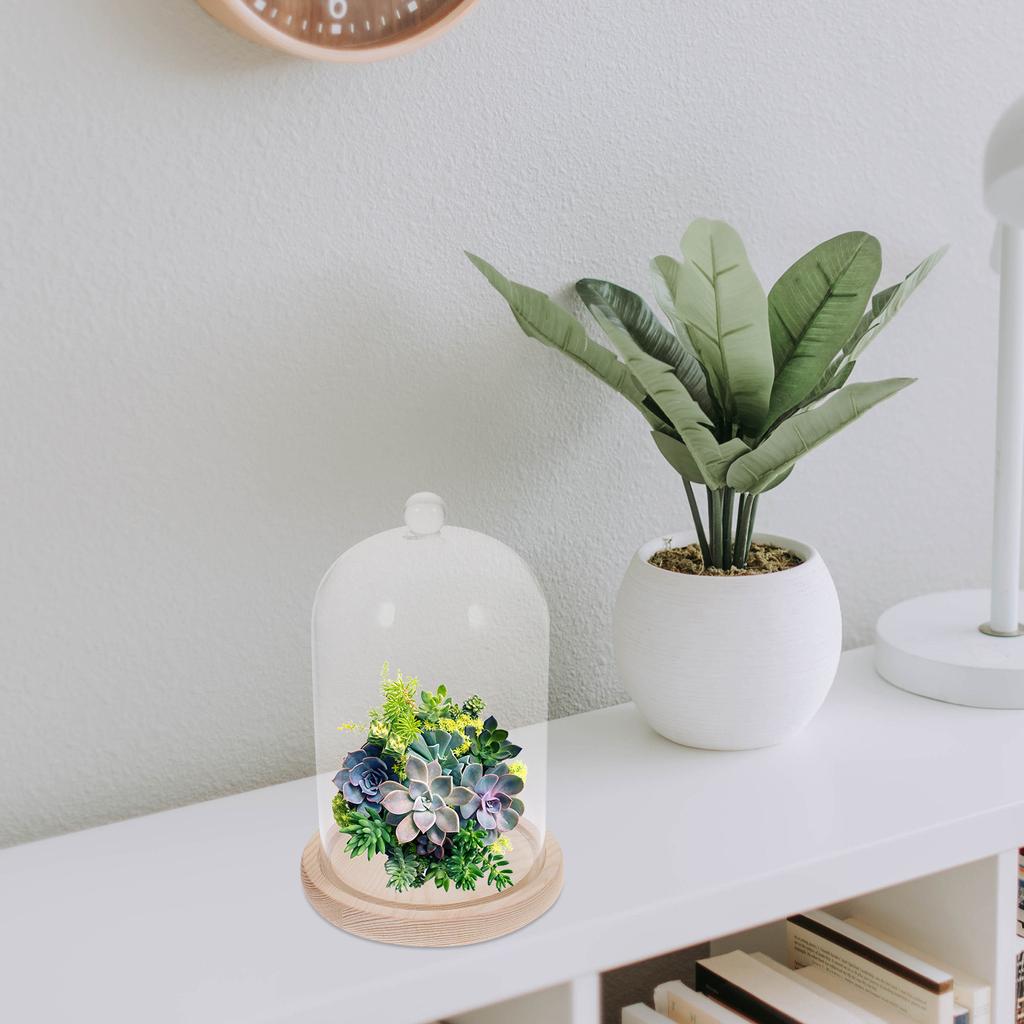 Tischdeko Trockenblumen Glasglocke Vase Klar Ornamente Holz Konserviert