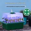 6/12-Hole LED Seedling Box: Adjustable, Breathable, Heat-Insulating, Large Capacity Sowing & Cuttings Tray.