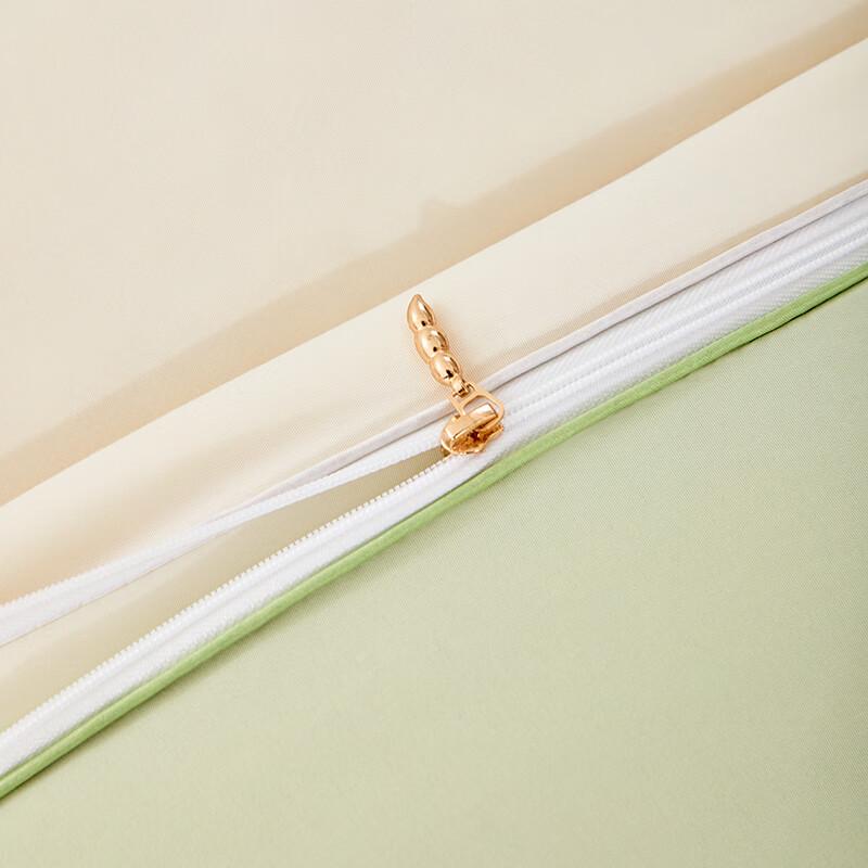 Muji-Inspired Two-Tone Soy Fiber Winter Duvet Insert