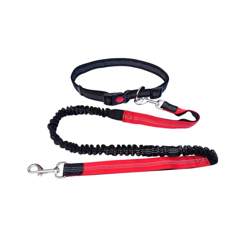 Double Stretch Running Dog Leash Reflective Dog Traction Rope Pet Walking Leash  for Dogs Cats