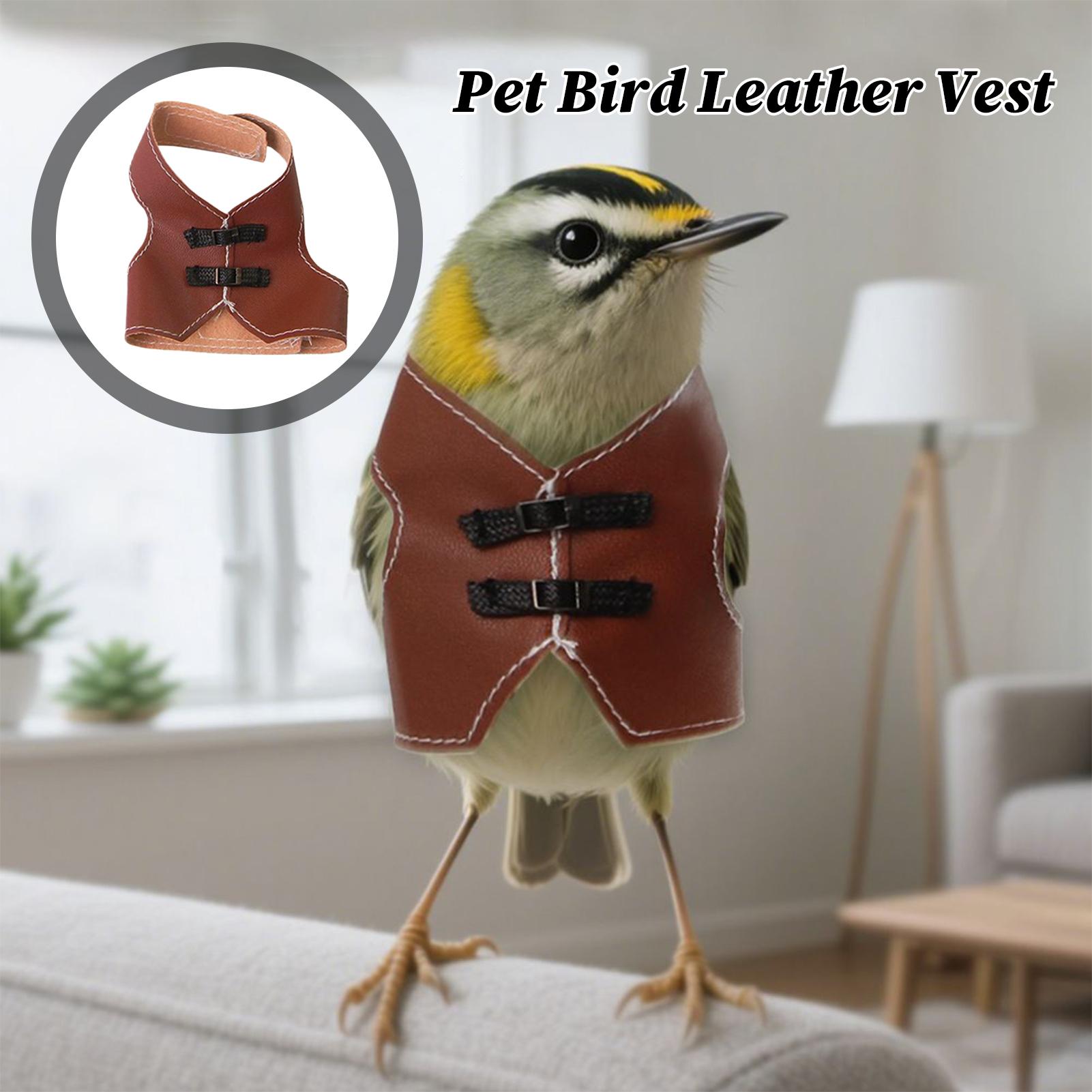 

Винтажный регулируемый жилет для уличной птицы, одежда для питомца, аксессуары для питомца для помещения, улицы, окна, патио, балконов, двора, сада S