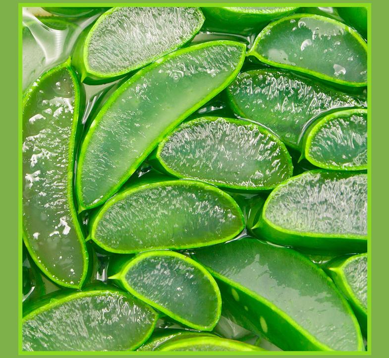 Esfolio Aloe Vera 92% Moisture Soothing Gel – Lightweight Hydration for Sensitive Skin