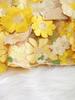 Embroidery 3D Floral A-Line Skirt | European & American Fashion