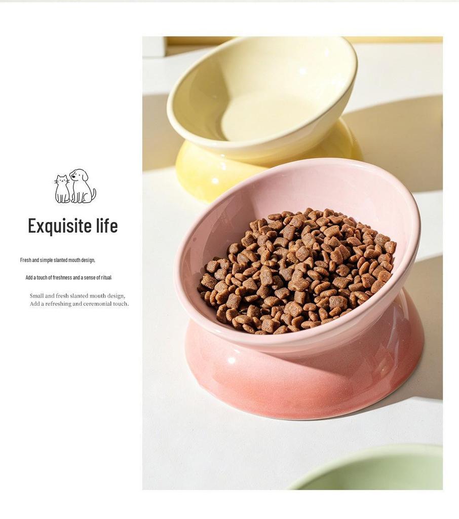 Ceramic Gradient Pet Bowl for Cats and Dogs - Feeder, Food, and Water Bowl
