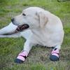 4pcs Small Dog Shoes With Soft Soles Comfortable Protective Dog Footwear for Active Dogs Size