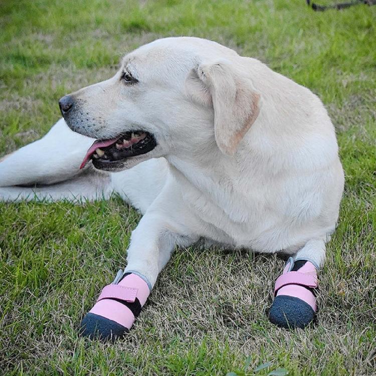 4pcs Small Dog Shoes With Soft Soles Comfortable Protective Dog Footwear for Active Dogs Size