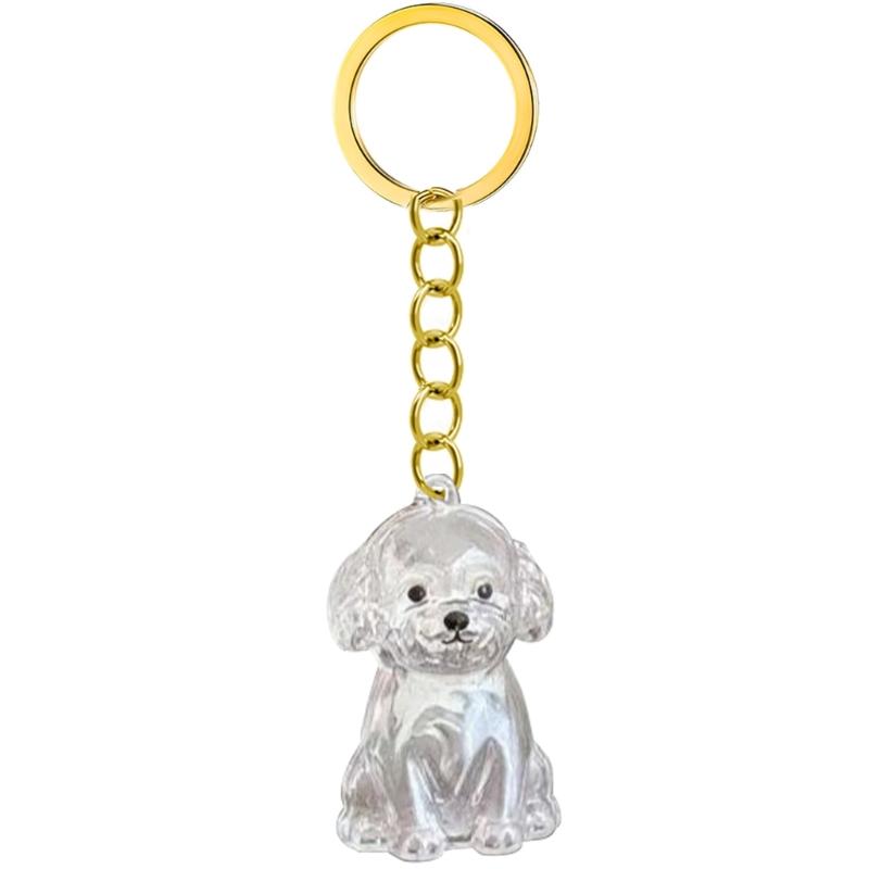 

Pet Memorial Keychain Dog Hair Box For Preserving Dog Hair Or Cremation Ashes In Durability Plastic Box Keyring