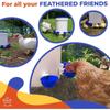 Automatic Water Feeder For Chickens, Universal Poultry Model - -pack