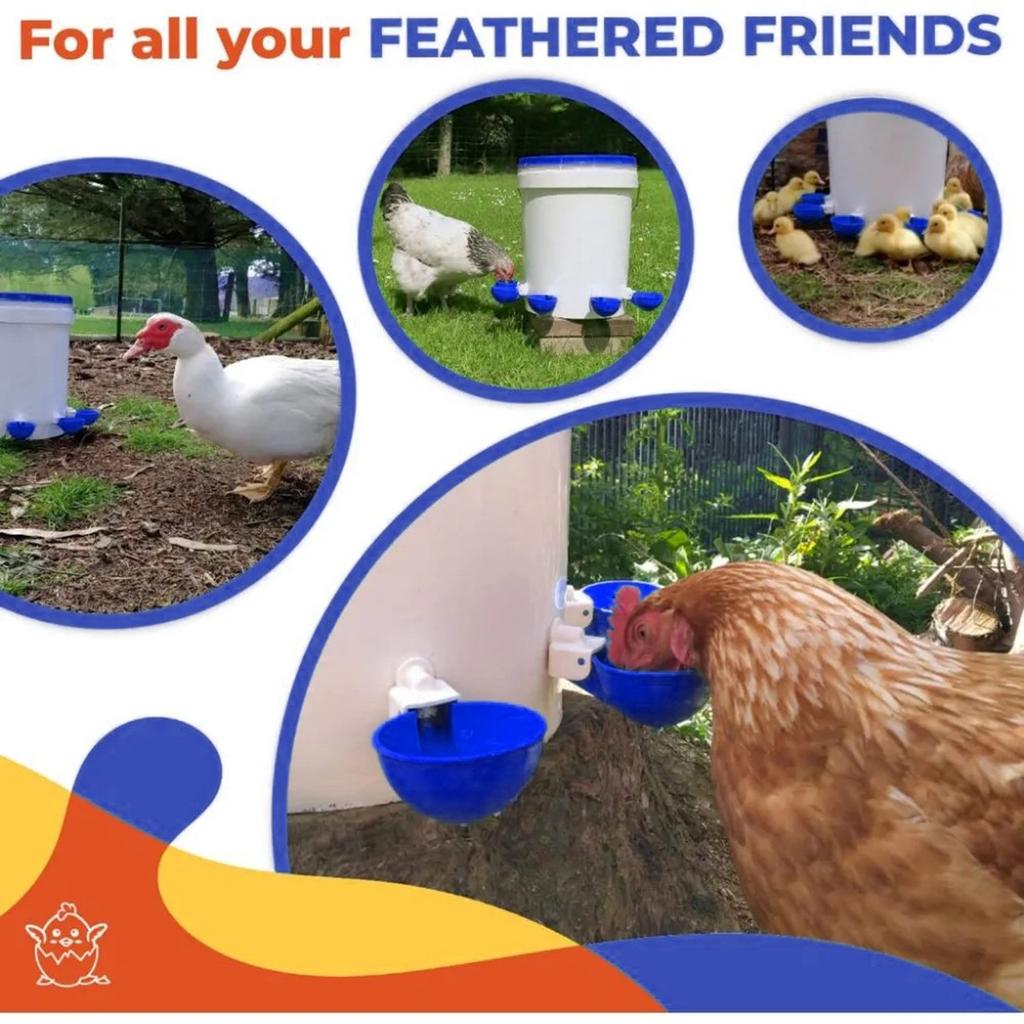 Automatický podavač vody pro kuřata, univerzální model pro drůbež - 5 kusů