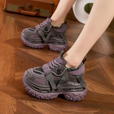 Chaussures dad épaisses pour femmes 2026 nouvelle maille respirante chaussures décontractées à la mode et polyvalentes chaussures plates pour femmes