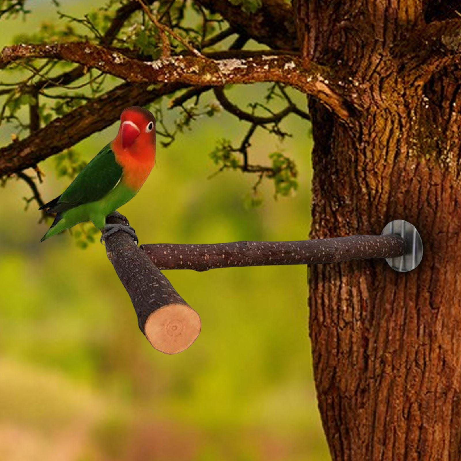 Natural Wood Bird Perch Stand for Small Parrots - Interactive Climbing Toy 25cmx25cmx2.5cm