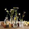 INS Mini Glass Vase Transparent Hydroponic Plant Vase Desktop Ornaments Flower Vases for Centerpieces Home Wedding Party Decor
