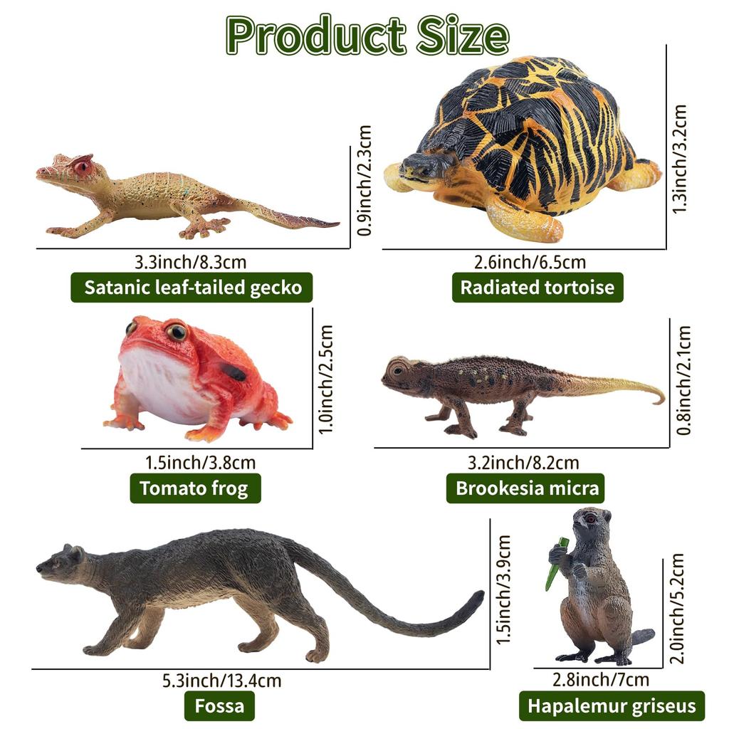 TOYMANY Madagascar Animal Figures, 12-Piece Hand-Painted Educational Set