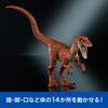 Mattel Jurassic World Hammond Collection Velociraptor Tiger Figure for Moving Dinosaur Approximately Inches Ages 8 and JDJ09 Kids, Toy, Large, 7.5
